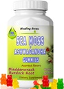 Mar Moss Gummies Ashwagandha con Root de Burdock Bladderwrack, Alkaline Keto Vegan No GMO Dieta, Dairy y Gluten Gratis – por Healing Drops