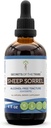 Sombra de oveja Tintura Extracto libre de alcohol, Sombra de oveja (Rumex Acetosella) Herb Tincture Suplemento 4 oz
