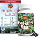 Minerales vegetales, 60 cápsulas, minerales orgánicos de rastro natural y antioxidantes que apoyan los sistemas inmunitarios y digestivos, promoviendo la salud óptima. Fuente y Made in USA