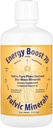 Energy Boost 70 Morningstar Minerals, Fulvic Minerals, 32 oz (946 ml)