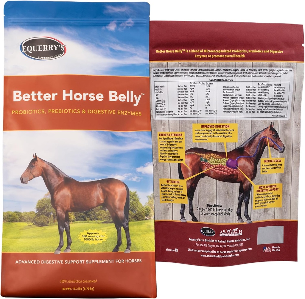 EQUERRY'S Better Horse Belly - Supplement with Gut Support | Probiotics with Prebiotics and Digestive Enzymes | for Colic, Digestive Upset - 19.2 LB