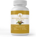 PURE ORIGINAL INGREDIENTES Mucuna Pruriens, (100 cápsulas) Siempre puro, sin aditivos ni artillería, Lab Verified