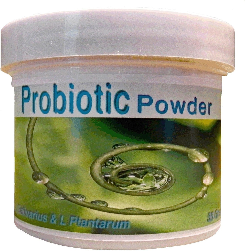 Probióticos Polvo 55 Gramos