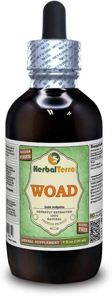 Woad (Isatis Indigotica) Glycerite, Dried Leaves Alcohol-Free Liquid Extract (Marca: HerbalTerra, Proudly Made in USA) 4 fl.oz (120 ml)