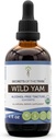 Secretos de la Tribu Wild Yam USDA Orgánica ← Extracto sin alcohol, gotas herbales de alta potencia, Digestión ← Hecho de 100% Certified Organic Wild Yam (Dioscorea Villosa) Root seco 4 oz
