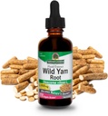 Respuesta de NAture Wild Yam ← Promueve la salud general " Well-Being  Hecho con alcohol orgánico bajo Silencio Gluten-Free, Non-GMO " Kosher Certified 2oz