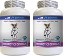 Suplementos nutricionales digestivos - PROBIOTICS for Dogs - Gut saludable - Stop Gas Diarrhea and Bad Breath - Probióticos para perros para el mal aliento - 2 Botellas (120 Treats)