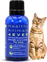 HA4E - Cat UTI Remedy - Natural Kidney Support for Cats - Supports Bladder &amp; Urinary Health - Renal Cleanse - Non-GMO, Organic, Chemical-Free - 300 Cuadros