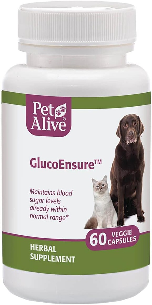 PetAlive GlucoEnsure - All Natural Herbal Supplement for Maintaining Blood Sugar (Glucose) Levels Already in The Normal Range in Pets