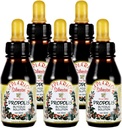 Distribuidor oficial - 5 botellas de Apiario Silvestre Brasileño Green Bee Propolis Liquid Glic Extract-Non Alcoholic, Wax Free, Sugar Free (PG)