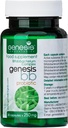 Génesis LABORATORIOS Suplemento Probiótico con Bifidobacterium spp. 250 mg 30 Capsules Immune Apoyo Gut Health Probióticos para la Salud Digestiva Anti Bloating para Hombres y Mujeres Gut Restore Probiótico