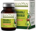 Botánicos Banyan Yogaraj Guggulu – Suplemento Orgánica de Apoyo Conjunto – Ayurvédico para apoyar los sistemas esqueléticos y neuromusculares* – 90 Tabletas – No GMO, Fuente sostenible, Vegan