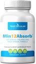 MIN12AbsorbTM Complejo Mineral Esencial " Trace " , libre de soja, no transgénico, Vegan, suministro de 30 días - aumento de la absorción para la salud celular y la vitalidad diaria