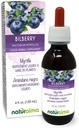 Naturalma Bilberry o Blueberry Europea (Vaccinium myrtillus) Fruta Alcohol-Free Tintura - 4 fl oz Líquido Extracto en gotas - Suplemento Herbal - Vegan