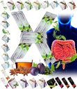 Todo Natural Detox Cleanse Instant Tea Mix Prune & Plum w. Fiber & Inulin for Optimal Intestinal Transit by FuXion Prunex 1 (10 Sachets)