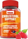 1 Pack Cholesterol Support Gummies, Containing 2000MG of Plant Sterols & Sterols, Cholesterol Complex Gummies, Support Healthy Cholesterol Levels, Energy Support, Mixed Berry Flavor, 60 Condes