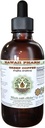 Café verde sin alcohol Extracto líquido, café verde (Coffea Arabica) frijol de hawai Pharm Natural Herbal Suplemento 4 oz