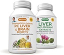 ANDREW LESSMAN PC Liver and Brain Benefits + Liver Anti-Oxidant Extracts Kit: 300 Capsules (180+120) - Phosphatidyl Choline, Milk Thistle, Artichoke, Curcumin.