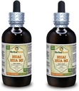 Huai Hua Mi (Sophora Japonica) Tintura, Orgánica Flor seca Buds Extracto líquido (Marca: HerbalTerra, Proudly made in USA) 2x4 fl.oz (2x120 ml)