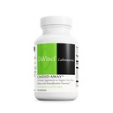DAVINCI Laboratorios Candid-Away - Apoyo Digestivo a la Salud Gut, Sistema Inmune Apoyo con Enzimas Digestivas, Calcio, Magnesio &amp; Más* - 90 cápsulas vegetarianas (30 servidos)