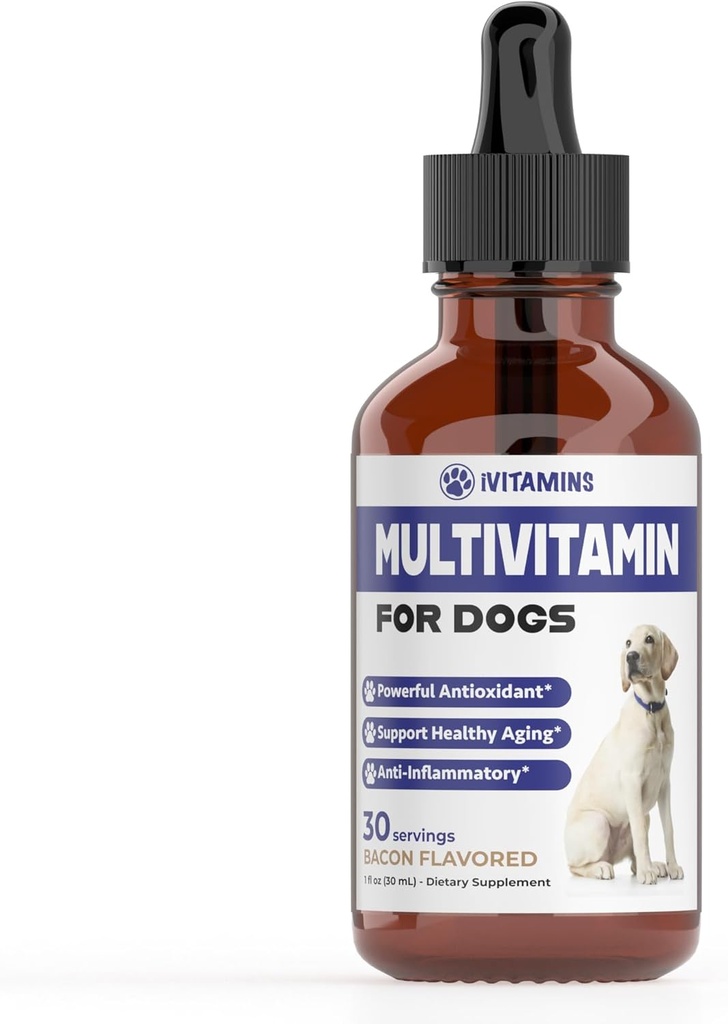 Multivitamínico para Perros ← Perro Multivitamínico TENIDO Para Soporte Conjunto, Salud Gut &amp; Immune, Esquía & Corazón Salud TENIDA Vitaminas y Suplementos para Perros TENIDA Vitaminas para Perros Multivitamínicos