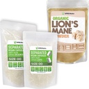 XPRS Nutra Tamaño separado 00 cápsulas (1000 conde) con el mane de león Powder (8 onzas) Bundle