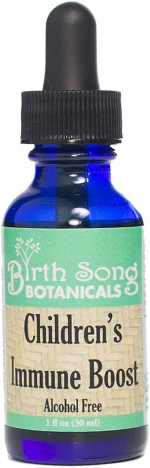 Botánicos de la Canción de Nacimientos Boost Tintura infantil*, Sistema de Inmunización Infantil Suplemento con Echinacea, Líquidas gotas de inmune para niños, Echinacea Herb Immune Fórmula 1oz Botella