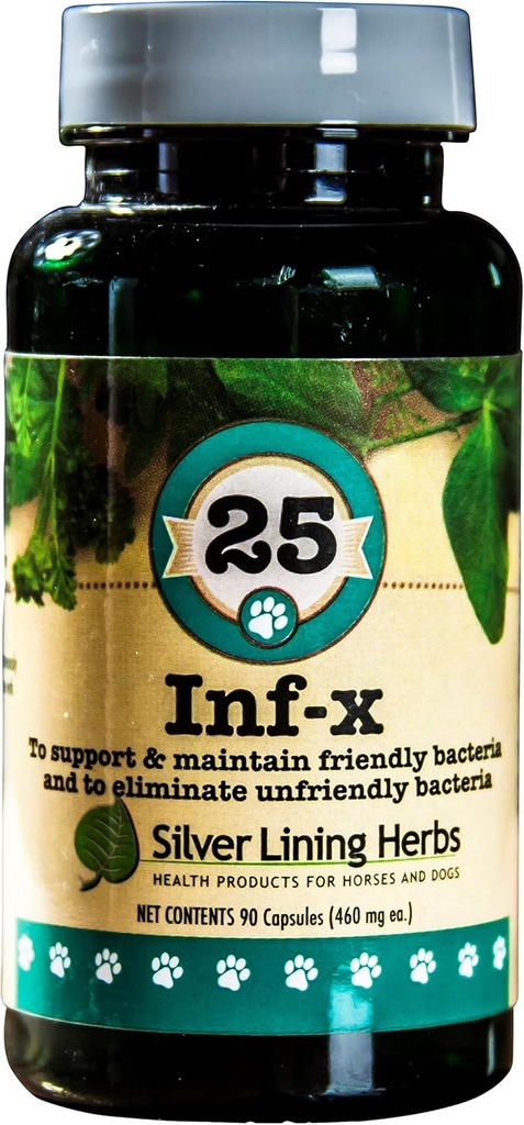 Herbs de forro de plata 25 Canine INF-X - Ayuda a mantener niveles de digestión saludables - Apoyo natural para el proceso de desintoxicación normal - Suplemento de salud herbal para perros - 90 cápsulas