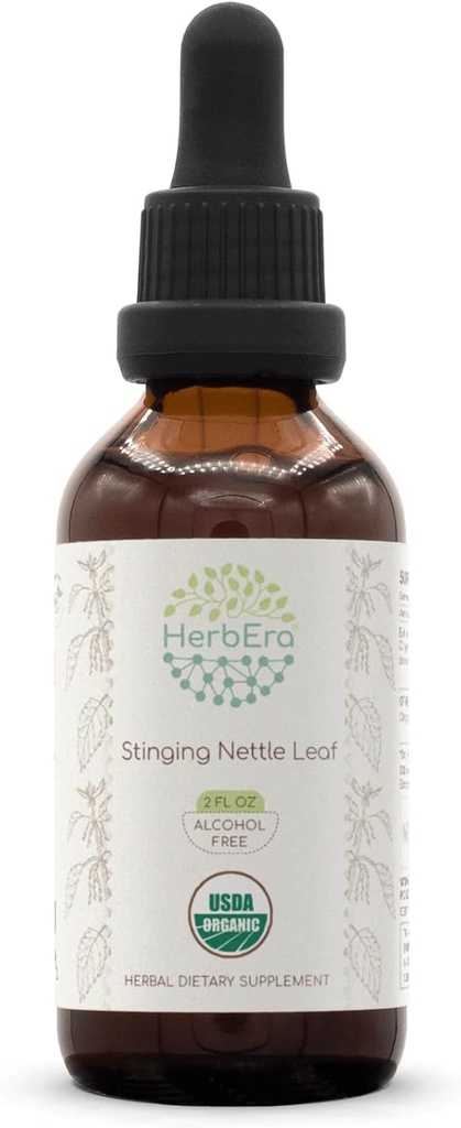 HerbEra Stinging Nettle Leaf B60 USDA Organic Tincture | Alcohol-Free Extract, High-Potency Herbal Drops | Certified Organic Stinging Nettle (Urtica Dioica) Dried Leaf (2 oz)