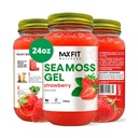 Sea Moss Gel Raw (12 Sabores) 24oz Wildсrafted Gold Sea Moss Gel de Santa Lucía ← 92 Vitaminas y Minerales  Pure Raw+No-GMO ← Vegan Superfood