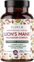 Planta.O Suplemento Mane de León Premium, Todo Nootropics Natural Suplemento Cerebro, 5 Complejo de Mushroom – Mane, Reishi, Chaga, Maitake, Shiitake para la inmunidad, Focus, Mood & Memory Boost, 90 Caps