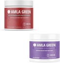 Amla Powder " Green Tea Superfood Supplement, Antioxidant Support, Made with Hibiscus (90 porciones) " Elderberries (30 porciones), Organic, Vegan