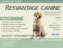 Restante Canine