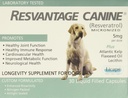 Restante Canine