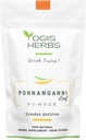YOGIS HERBS Ponnanganni Leaf Powder (Sessile joyweed) – Holistic Health Supplement for Eye, Skin, Bone, and Immune Wellness ← Natural Detox Aid -100 GMS (3,5 oz)