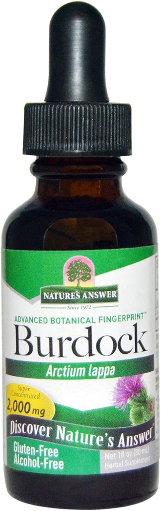 Respuesta de la naturaleza Burdock Root - 1 fl oz