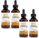 Maxx Herb Astragalus Root Extract - Max Strength Liquid Tincture Absorbs Better Than Capsules or Powder, for Immune Support and Mental Clarity - 4 Bottles, 4 Oz Cada (240 Servings)