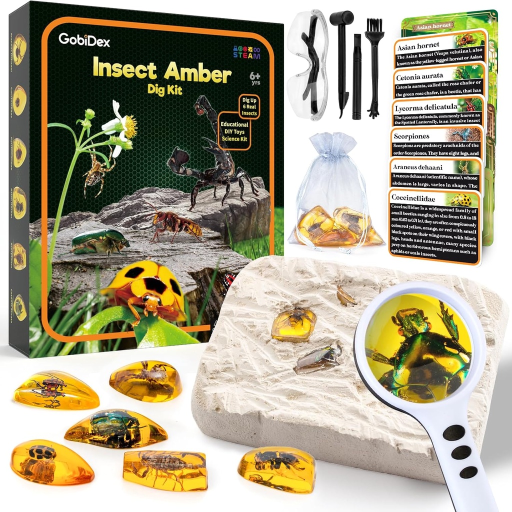GobiDex Amber Dig Kit-Artificial Insect Resin, Excavate 6 Insects Specimens, STEM Geo Geográfica Errores Educativos Juguetes, Juguetes de Excavación para Fun Bugs Party Favores, Kits de Ciencia para Niños Edad 6-8 8-12
