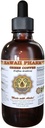 Extracto líquido de café verde, café verde (Coffea Arabica) Bean Powder Tintura Suplemento 4 oz