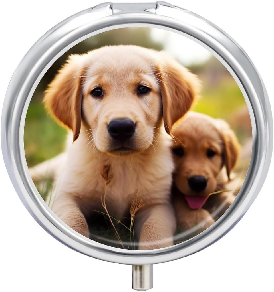 Pill Box 3 Compartment Round Pill Organizer Daily Small Pill Case for Travel Cute Golden Retriever Puppy Metal Pill Container Portable Medicine Organizer for Pill Vitamins Fish Oil Supplement