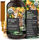 Fantástico extracto de hongos de hongos Fungi - 8-en-1 Suplemento de musgo complejo orgánico con Cordyceps, Reishi, Lion's Mane, Chaga, Turquía Tail, Shiitake, Maitake &amp; Tremella - Adaptogen Liquid Tincture, 1 fl oz