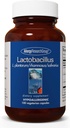 Allergy Research Group Lactobacillus Supplement - Probiotics for Men &amp; Women, Digestive Health, Gut Health, Vegetarian Capsules - 100 Count