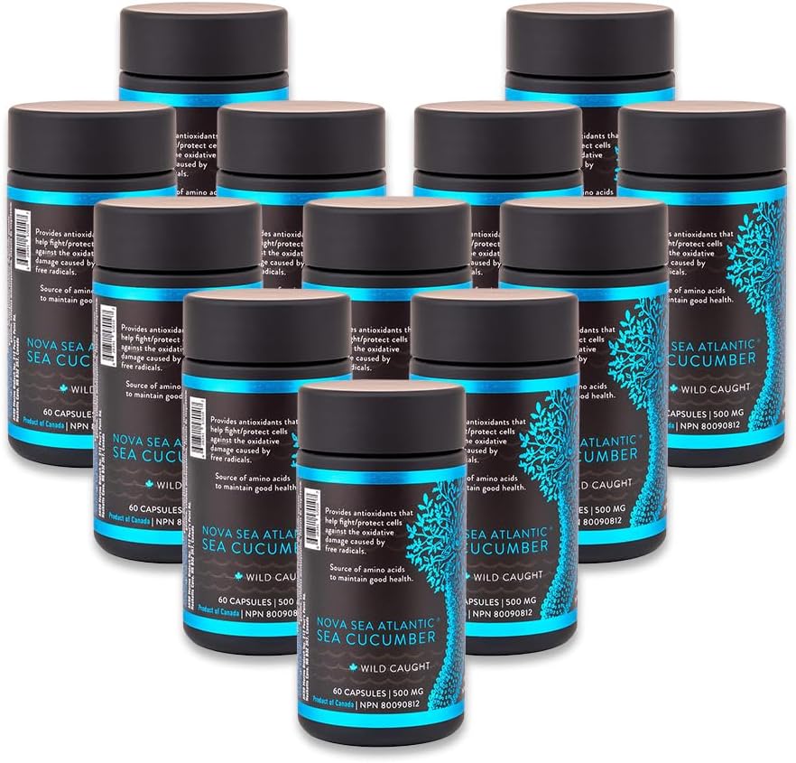 Suplemento de Cucumbería del Mar, Cucumbería del Mar Silvestres con Condroitina Fucosilada Vitaminas Minerales - Suplemento Antioxidante Natural para Niño Adulto Mayor (Pack of 12)