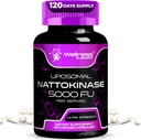 Nattokinase Supplement Capsules 5000 FU, Third-Party Tested Nattokinase – Enzymes from Japanese Natto – Daily Wellness Support – 120 Count (Pack of 1)