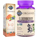 Garden of Life Organics Elderberry Immune Gummies, 120 Count & B12 Vitamin Raspberry Spray, 500mcg, 2oz