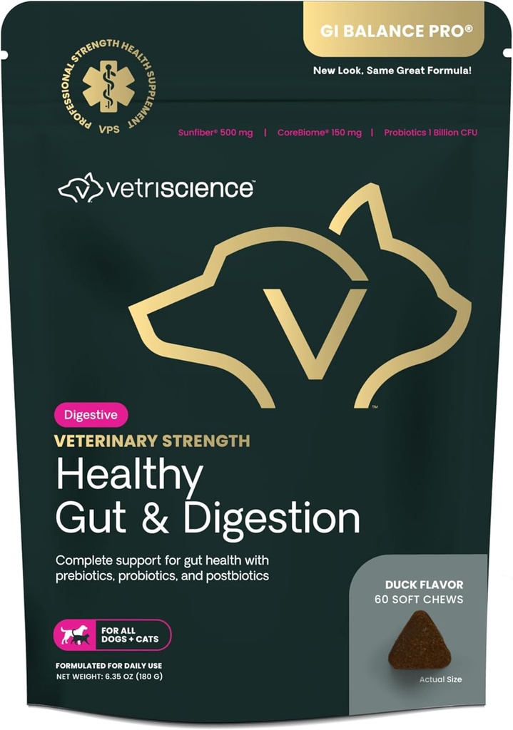 VetriScience Veterinary Strength Healthy Gut & Digestion - Pet Digestive Health Supplement for Cats & Dogs - Gut Health & Immune Support - Características Probióticos, Prebióticos & Postbióticos - 60 Cuenta