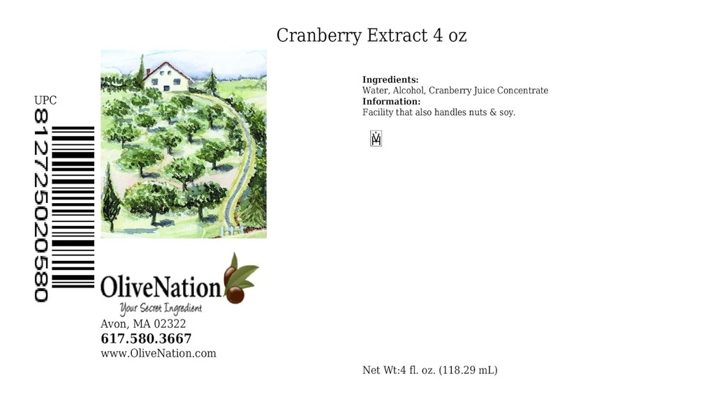 OliveNation Cranberry Extract - 4 onzas - Añadir el rico sabor de las arándanos a magdalenas, salsas y aderezos - extractos de hornear y saborear