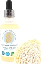 La Tintura de alcohol Mane Mushroom del León Orgánico – Salud Holística – 2 oz Doble Extracto, Triple-Micrón Filtrado Proporcionando Claridad y Pureza Superior.