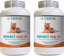 Pills de vejiga para perros - Enfermedad urinaria para perros Fórmula - Ayudas con problemas de incontinencia y vejiga - Immune Boost - Salud orina para perros - 2 Botellas (180 Treats)