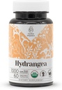 Hydrangea USDA Organic 60 Capsules ← Sistema Circulatorio, Suplemento Natural de Alta Potencia Silencio Certified Organic Vegetarian Capsules and Organic Hydrangea (Hydrangea arborescens) Dried Root (60 cápsulas)